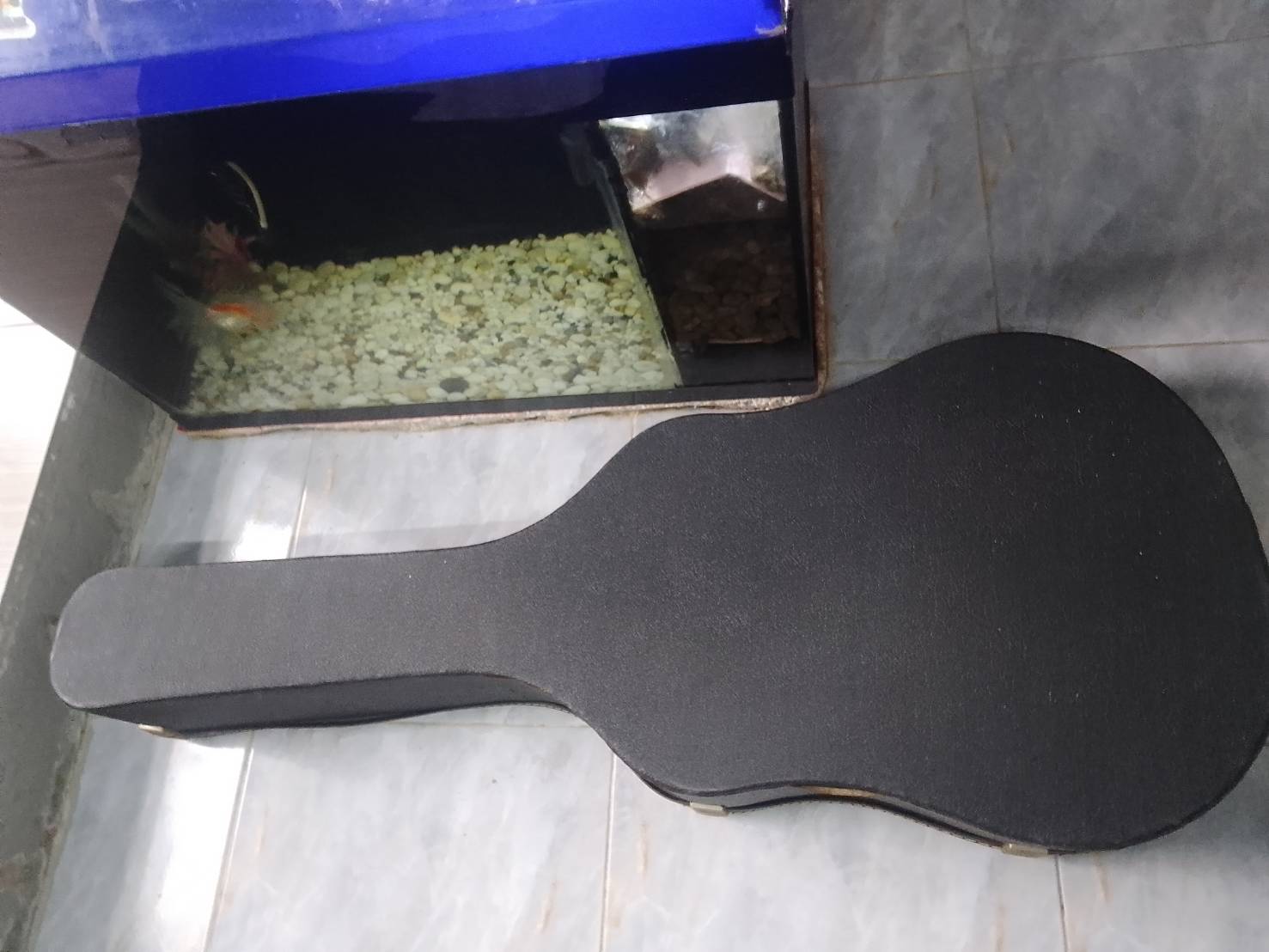 Hard Case ใส่กีต้าร์โปร่ง ทรง D