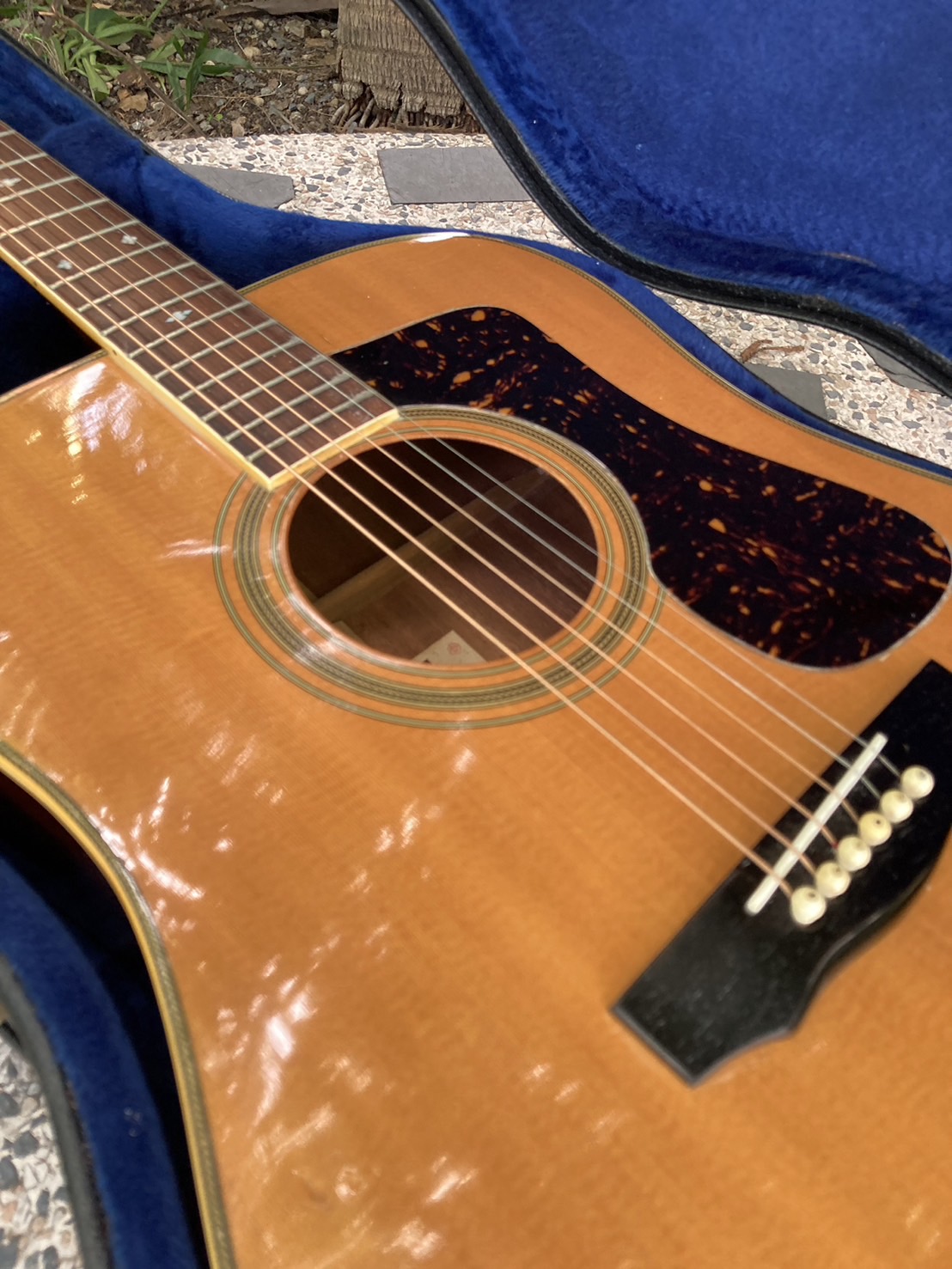 กีต้าร์โปร่ง Blueridge special 250 made in Japan